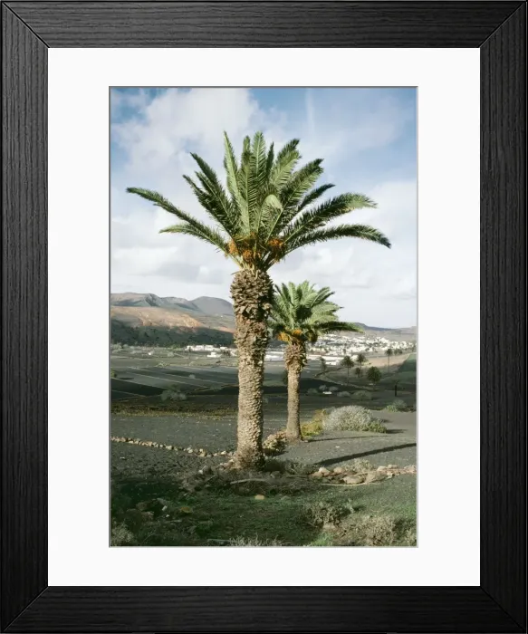 Framed Print : Picture No. 10851856 Framed Print : Picture No. 10851856
