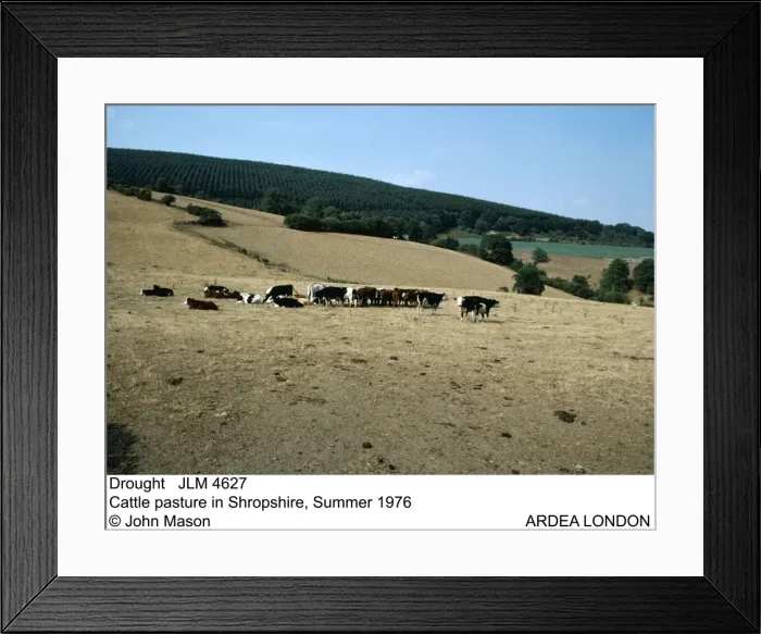 Framed Print : Picture No. 10851913 Framed Print : Picture No. 10851913