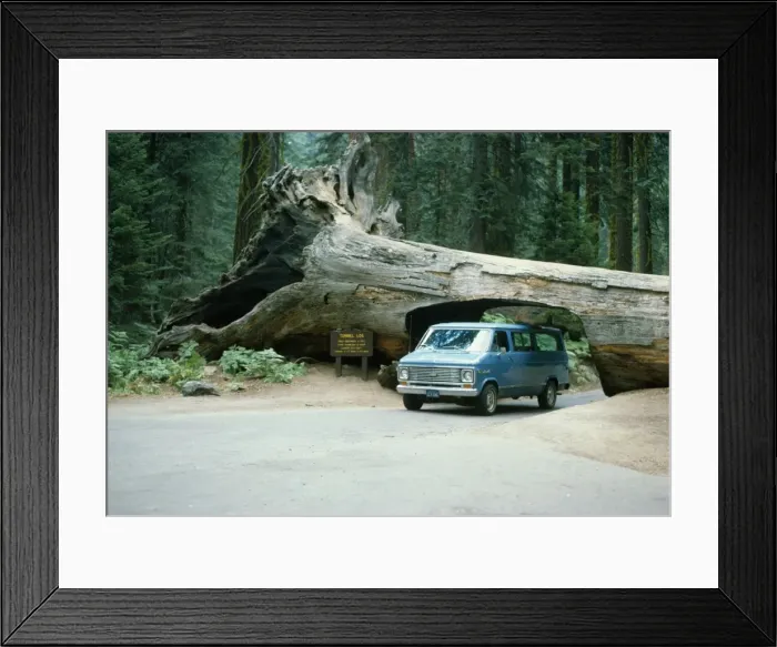 Framed Print : Picture No. 10851961 Framed Print : Picture No. 10851961