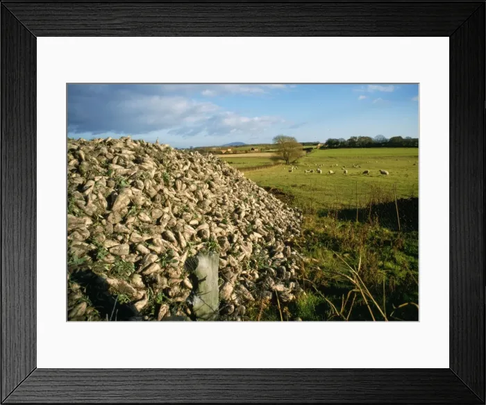 Framed Print : Picture No. 10852153 Framed Print : Picture No. 10852153