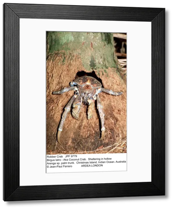 Framed Print : Picture No. 10852276 Framed Print : Picture No. 10852276