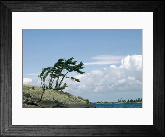 Framed Print : Picture No. 10852324