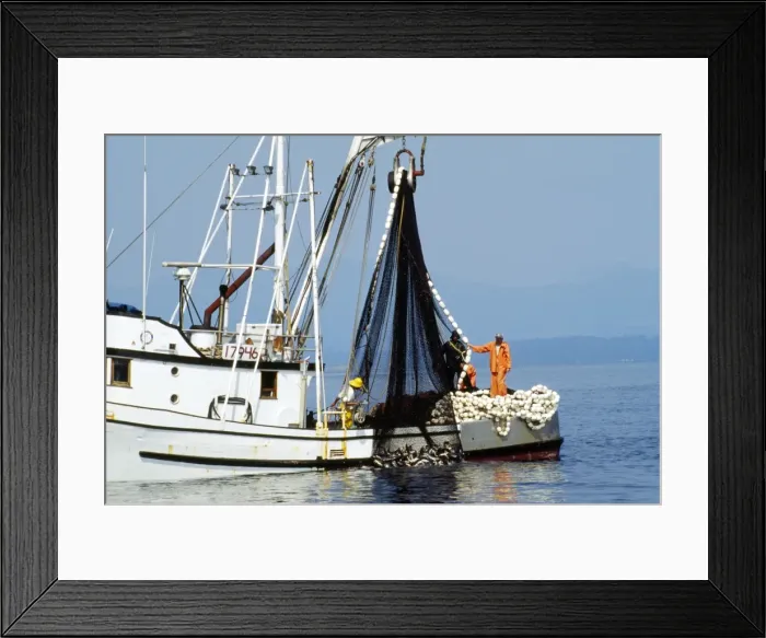 Framed Print : Picture No. 10852321 Framed Print : Picture No. 10852321