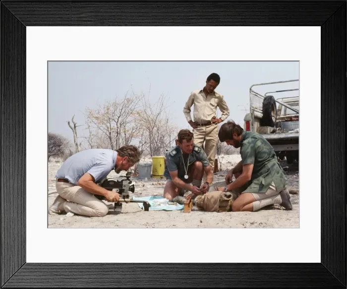 Framed Print : Picture No. 10852384 Framed Print : Picture No. 10852384
