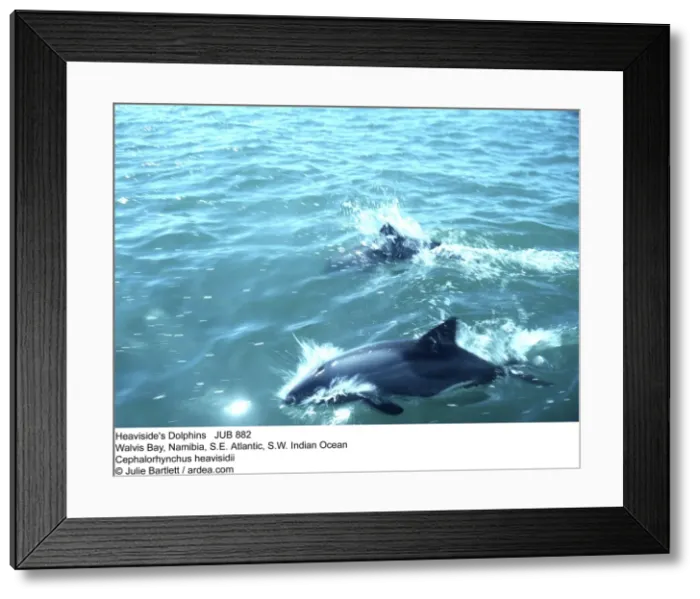 Framed Print : Picture No. 10852391 Framed Print : Picture No. 10852391