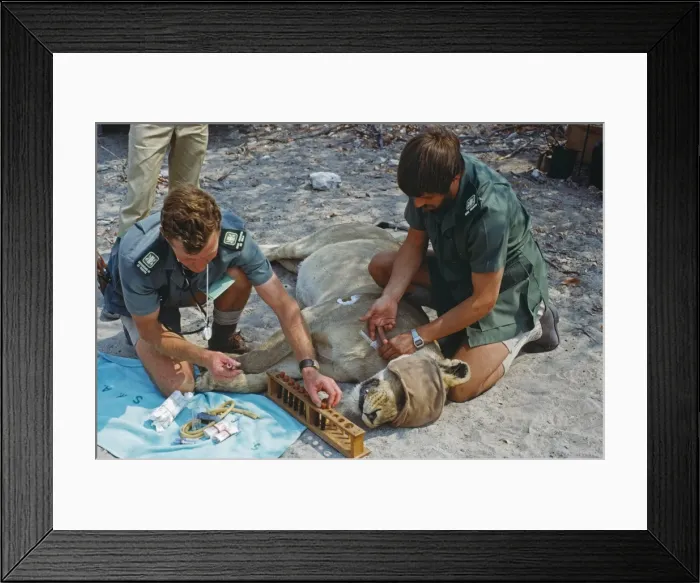 Framed Print : Picture No. 10852385 Framed Print : Picture No. 10852385