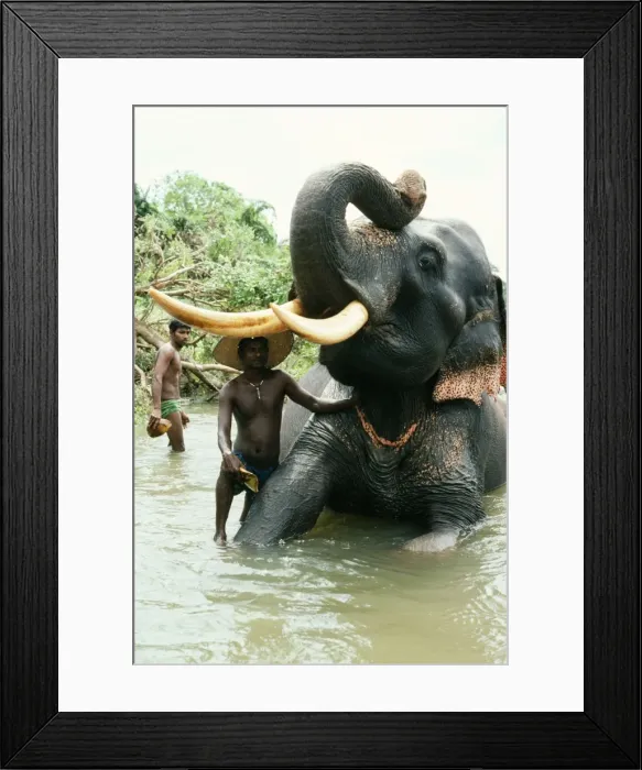 Framed Print : Picture No. 10852413