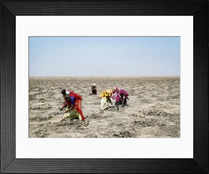 Framed Print : Picture No. 10852517 Framed Print : Picture No. 10852517