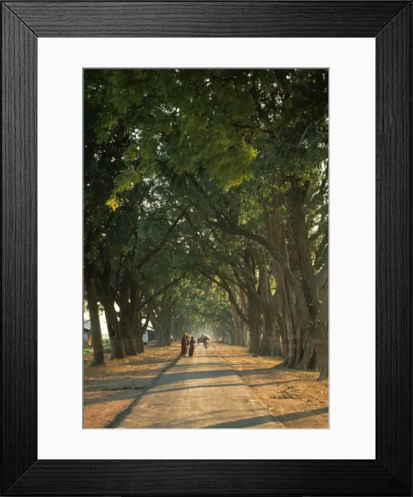 Framed Print : Picture No. 10852595 Framed Print : Picture No. 10852595