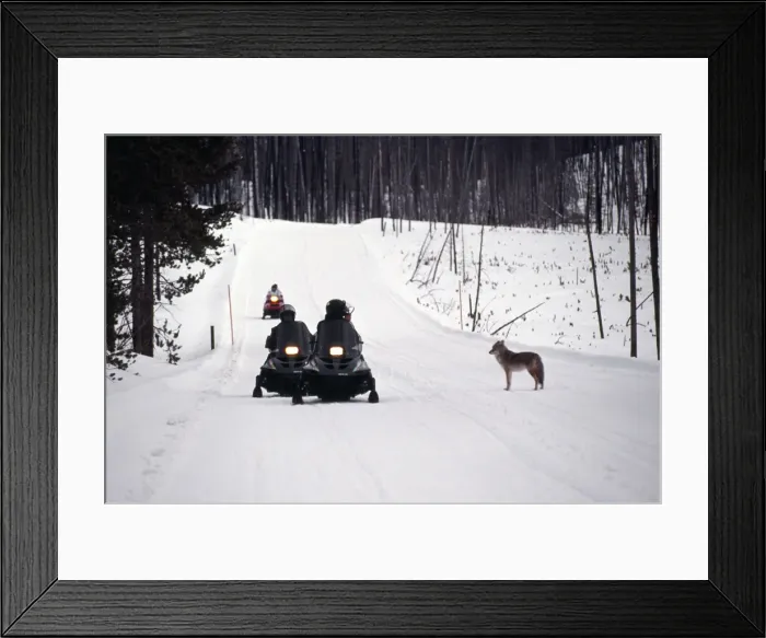 Framed Print : Picture No. 10852636 Framed Print : Picture No. 10852636
