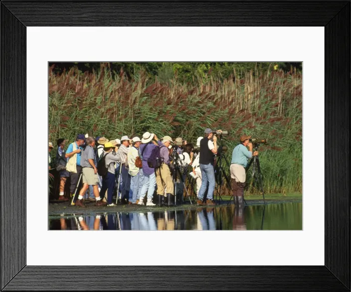 Framed Print : Picture No. 10852680 Framed Print : Picture No. 10852680