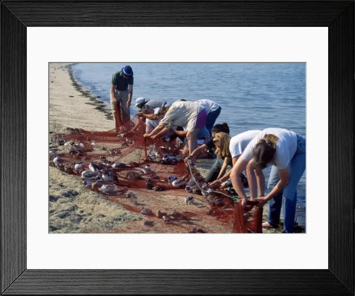 Framed Print : Picture No. 10852676 Framed Print : Picture No. 10852676