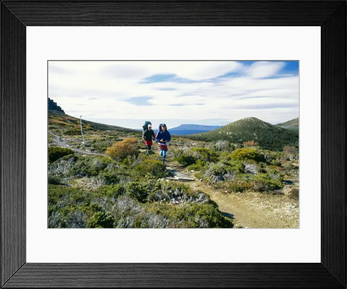 Framed Print : Picture No. 10848325 Framed Print : Picture No. 10848325