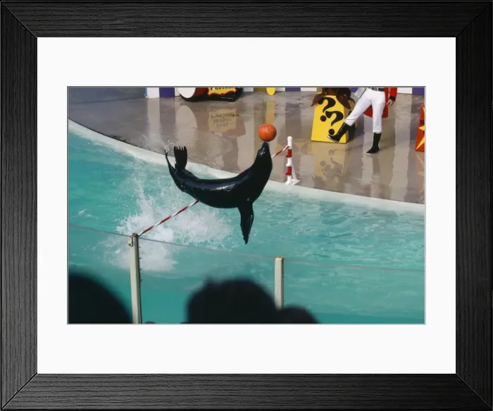 Framed Print : Picture No. 10853235 Framed Print : Picture No. 10853235