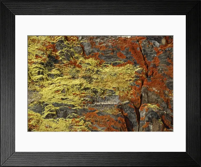 Framed Print : Picture No. 10853302 Framed Print : Picture No. 10853302