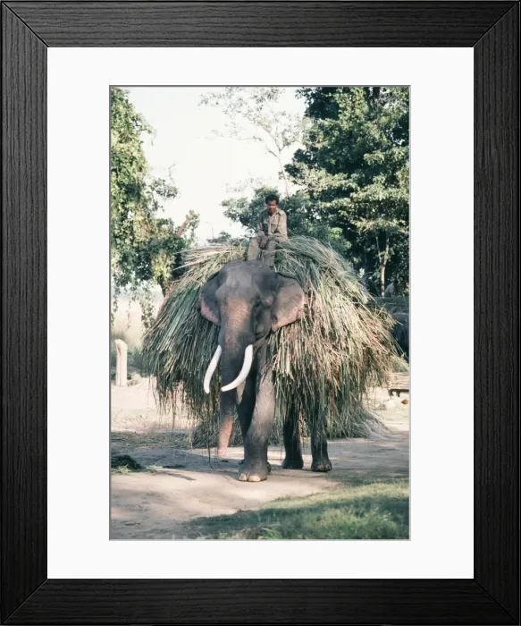 Framed Print : Picture No. 10853476 Framed Print : Picture No. 10853476