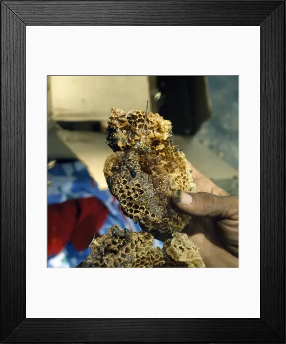 Framed Print : Picture No. 10854012 Framed Print : Picture No. 10854012