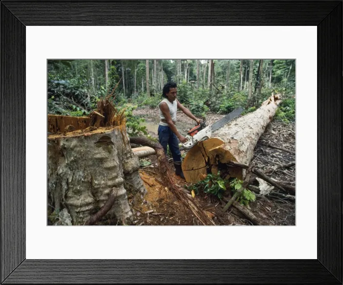 Framed Print : Picture No. 10854021 Framed Print : Picture No. 10854021