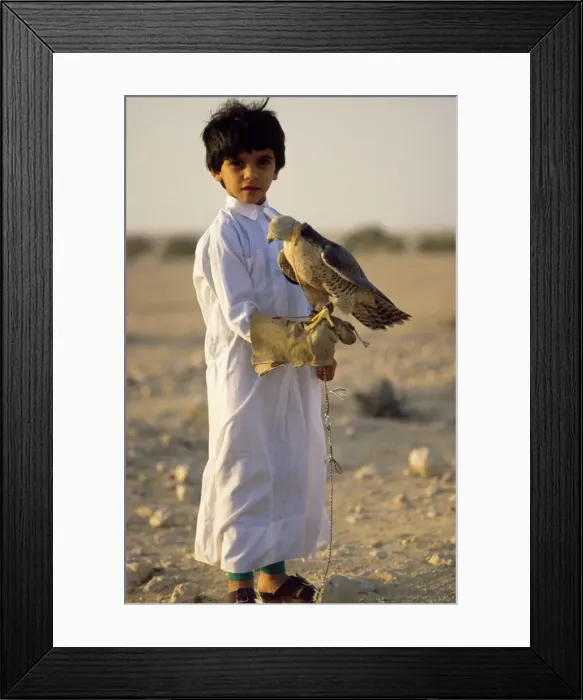 Framed Print : Picture No. 10854013