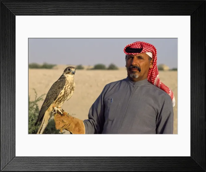 Framed Print : Picture No. 10854019 Framed Print : Picture No. 10854019