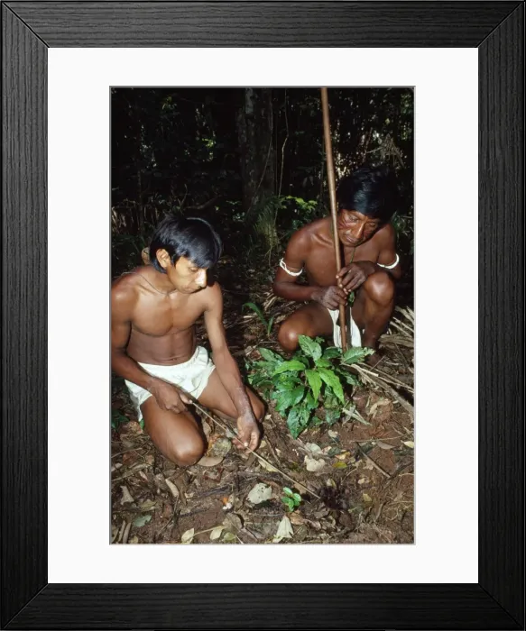 Framed Print : Picture No. 10854049 Framed Print : Picture No. 10854049