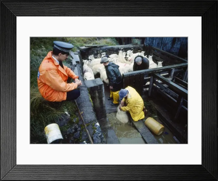 Framed Print : Picture No. 10854022 Framed Print : Picture No. 10854022