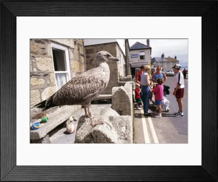 Framed Print : Picture No. 10854187 Framed Print : Picture No. 10854187