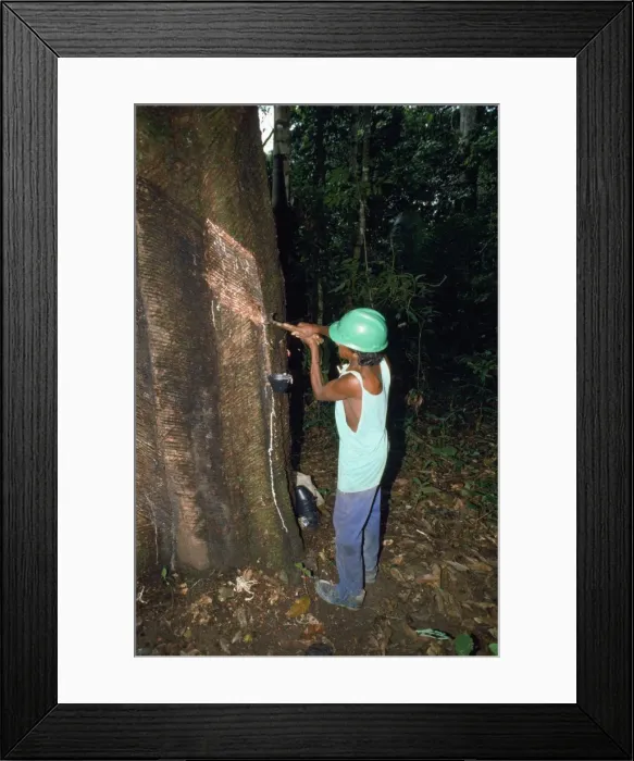 Framed Print : Picture No. 10854157 Framed Print : Picture No. 10854157