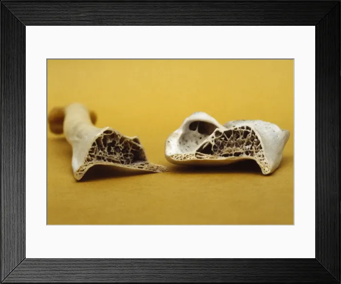 Framed Print : Picture No. 10854201 Framed Print : Picture No. 10854201