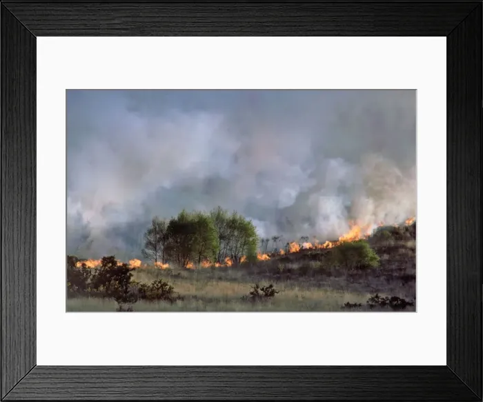 Framed Print : Picture No. 10854429 Framed Print : Picture No. 10854429