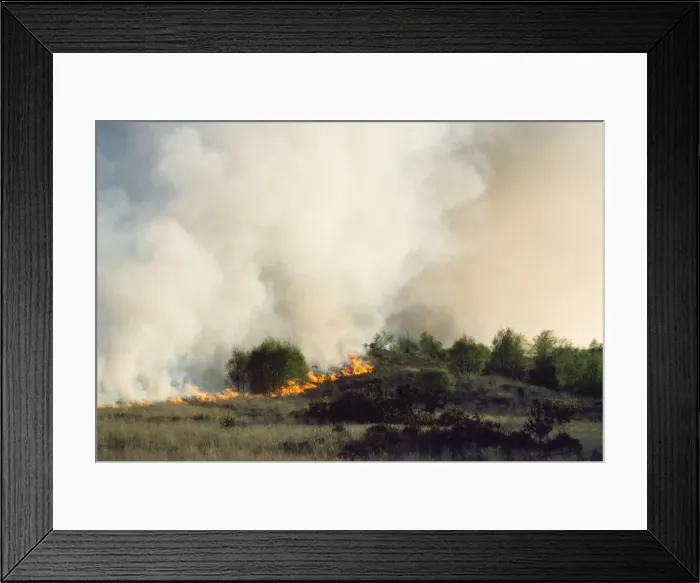 Framed Print : Picture No. 10854430 Framed Print : Picture No. 10854430