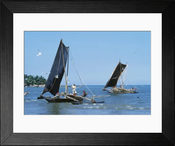 Framed Print : Picture No. 10854445 Framed Print : Picture No. 10854445