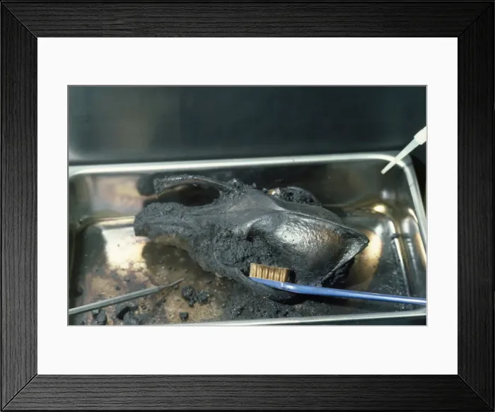 Framed Print : Picture No. 10854473 Framed Print : Picture No. 10854473