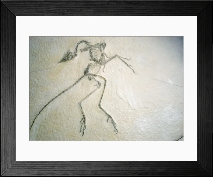 Framed Print : Picture No. 10854454 Framed Print : Picture No. 10854454