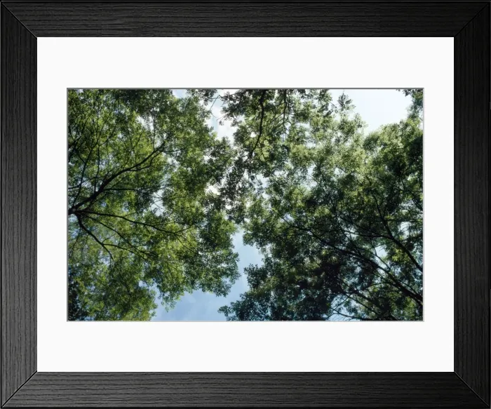 Framed Print : Picture No. 10854580 Framed Print : Picture No. 10854580