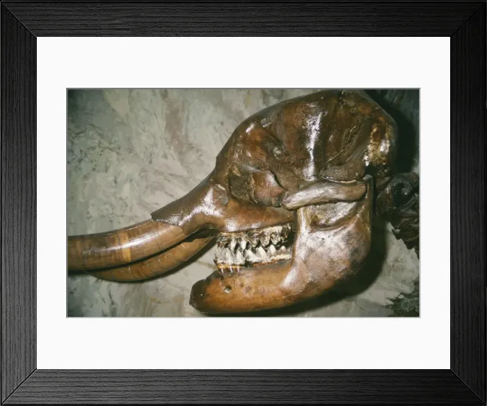 Framed Print : Picture No. 10854646 Framed Print : Picture No. 10854646
