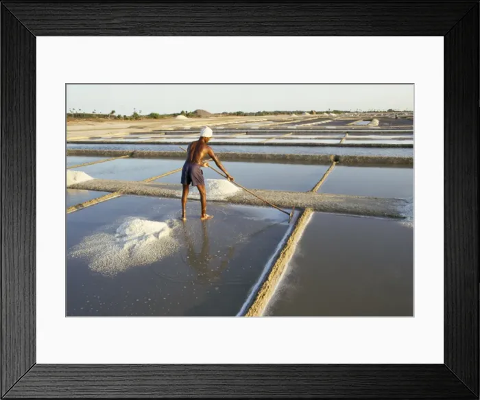 Framed Print : Picture No. 10854709 Framed Print : Picture No. 10854709