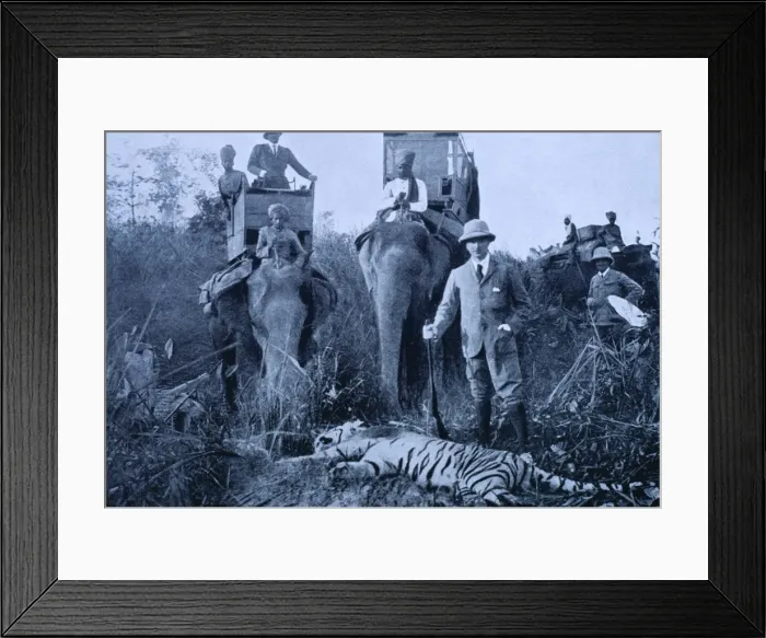Framed Print : Picture No. 10854693 Framed Print : Picture No. 10854693