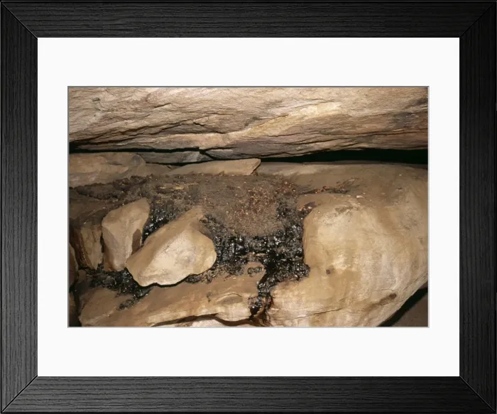 Framed Print : Picture No. 10855134 Framed Print : Picture No. 10855134