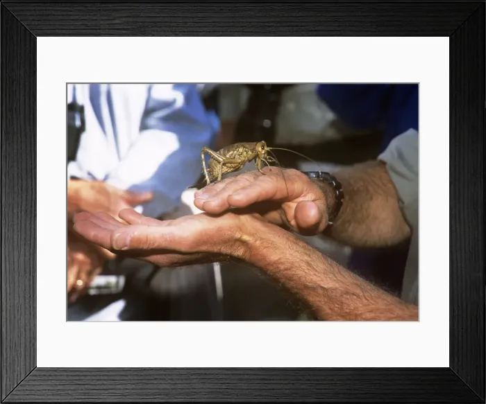 Framed Print : Picture No. 10855129 Framed Print : Picture No. 10855129
