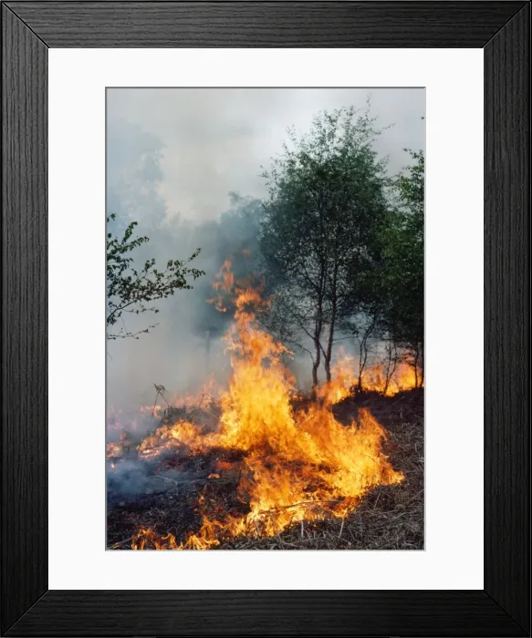 Framed Print : Picture No. 10855202 Framed Print : Picture No. 10855202
