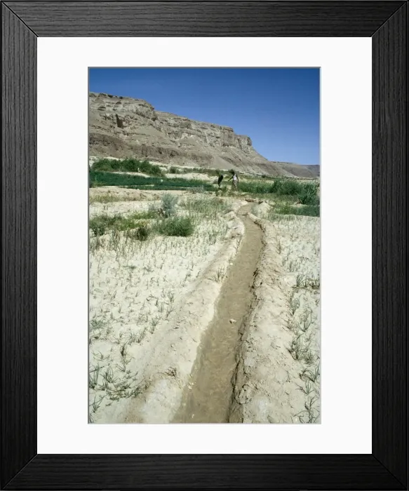 Framed Print : Picture No. 10855216 Framed Print : Picture No. 10855216