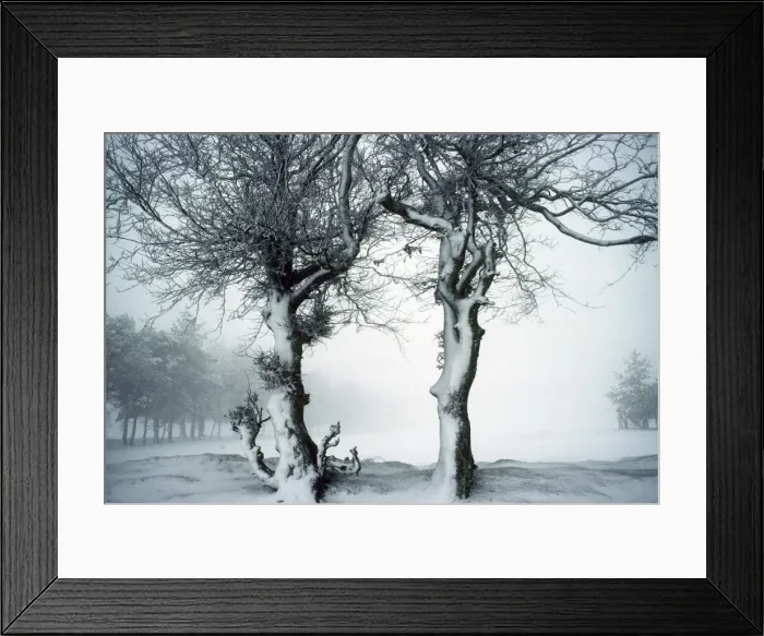 Framed Print : Picture No. 10855294 Framed Print : Picture No. 10855294