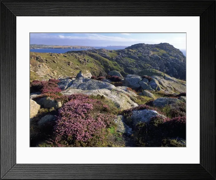 Framed Print : Picture No. 10855304 Framed Print : Picture No. 10855304