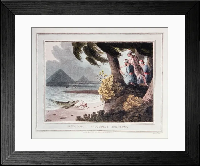Framed Print : Picture No. 10855464 Framed Print : Picture No. 10855464