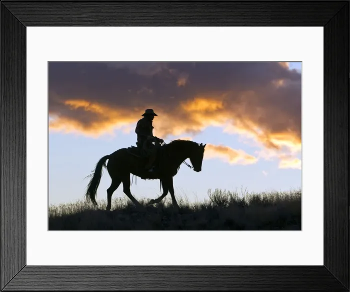 Framed Print : Picture No. 10898565 Framed Print : Picture No. 10898565