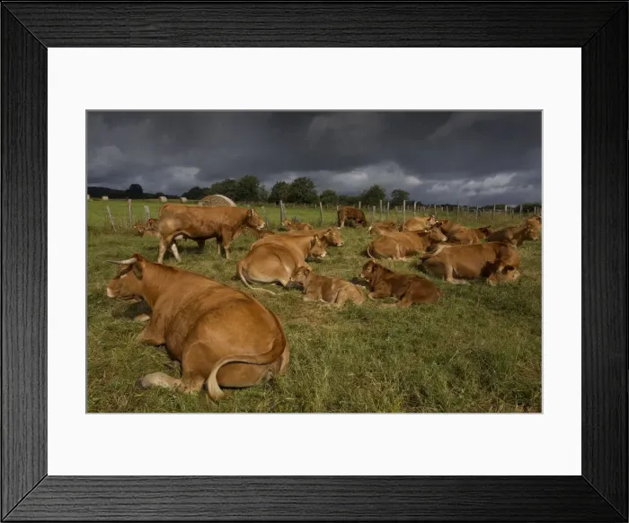 Framed Print : Picture No. 10898690 Framed Print : Picture No. 10898690