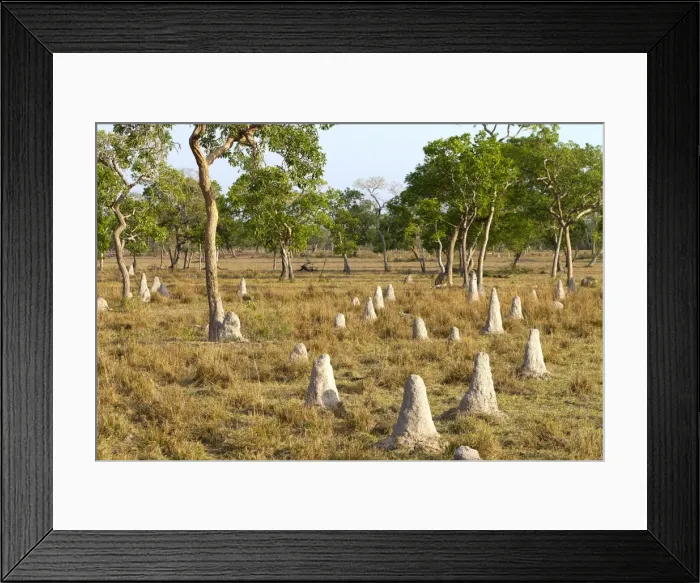Framed Print : Picture No. 10899122 Framed Print : Picture No. 10899122
