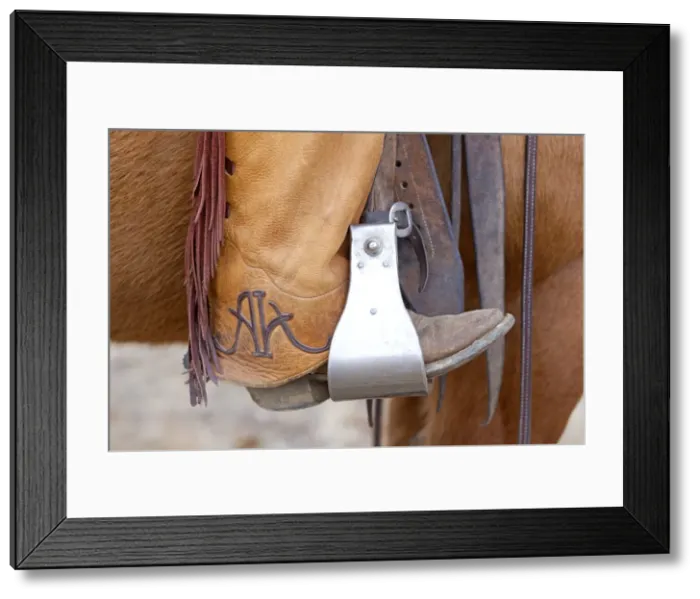 Framed Print : Picture No. 10898556 Framed Print : Picture No. 10898556
