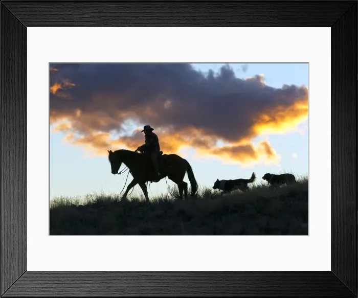 Framed Print : Picture No. 10898567 Framed Print : Picture No. 10898567